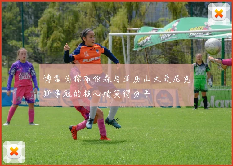 博雷戈称布伦森与亚历山大是尼克斯争冠的核心精英得分手